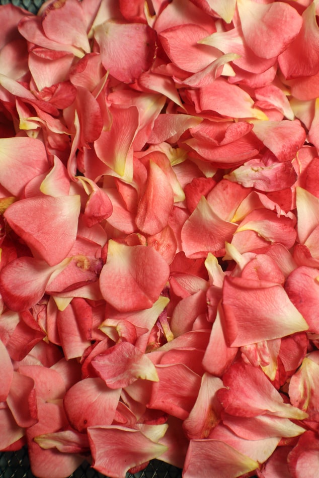 Eco-friendly DIY Scrubs for the Skin