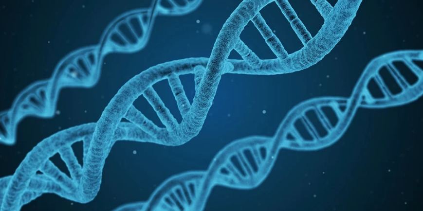 Anti-inflammatory gels help in the treatment of multiple problems. 