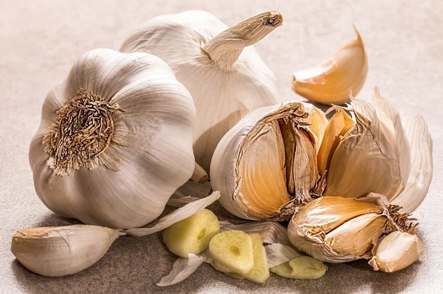 Garlic cloves are amazing painkillers for tooth pain.
