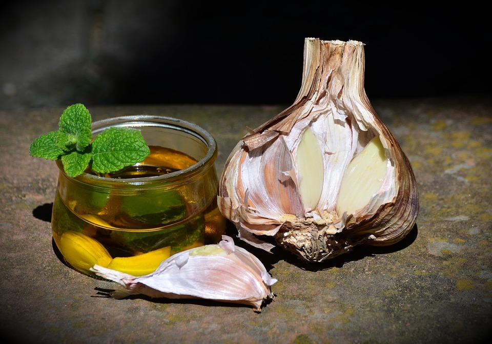 Garlic