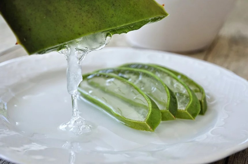pieces of aloe vera