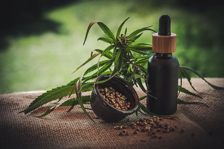 How Safe Is CBD Oils For Pets